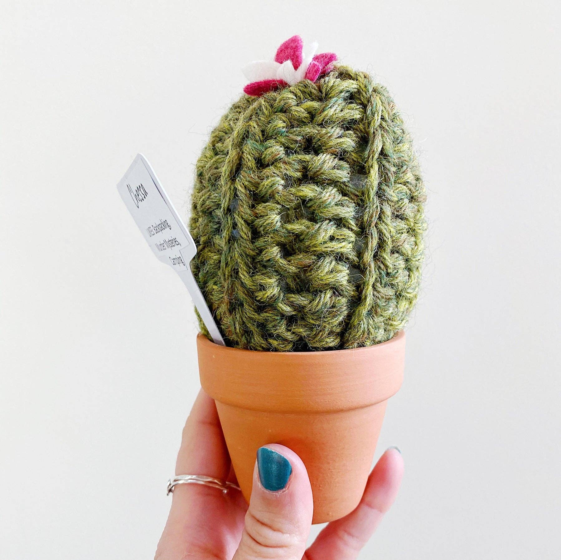 Islay's Terrace - Wholesale Decorative Tabletop Object - Baker's Dozen Cozy Crochet Cactus (13 cozy crochet cacti)2