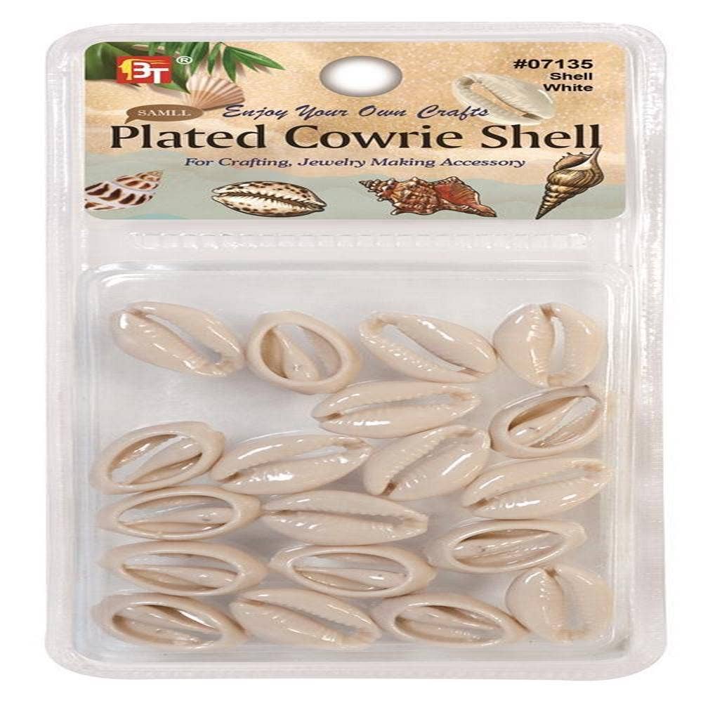 KT Supply - Vendita all'ingrosso Espositore per rivenditori - Confezione Valore Piccole Conchiglie Cipree Placcate Bianco Conchiglia0