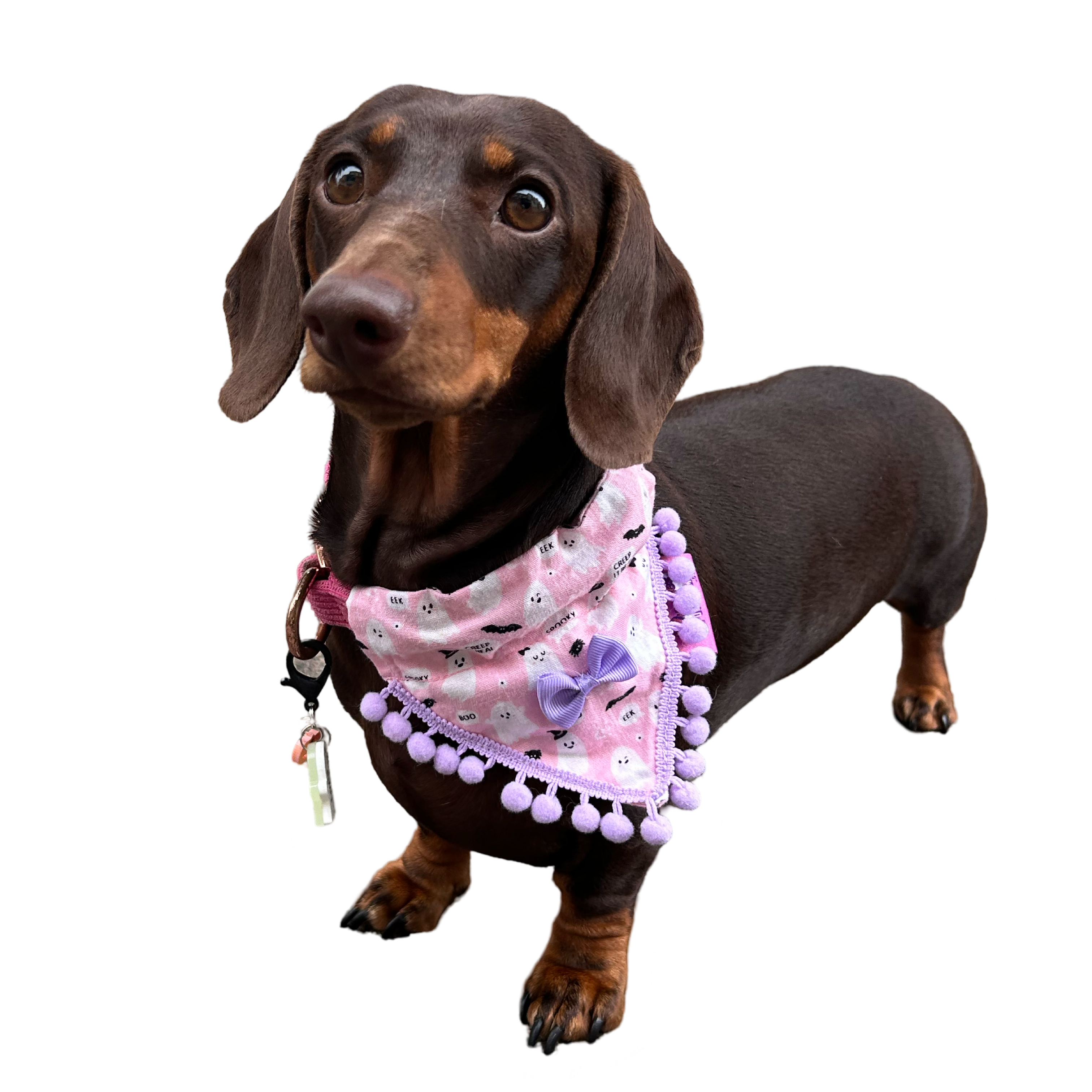 Puppies & Pom Poms - Wholesale Pet Bandana - Dog - Cute Pink Ghosts! Halloween Pompom Dog Bandana8