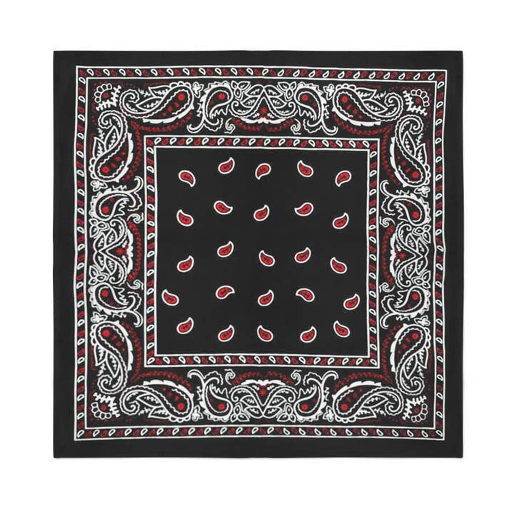 Auction Clearance - Wholesale Bandana - Unisex - 24 Pack Cotton Bandanas Paisley - 22 Inches1
