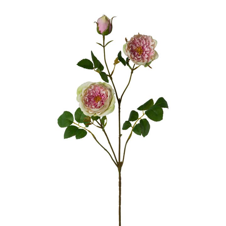 GASPER GmbH - Wholesale Artificial Flowers - rose branch, 73cm