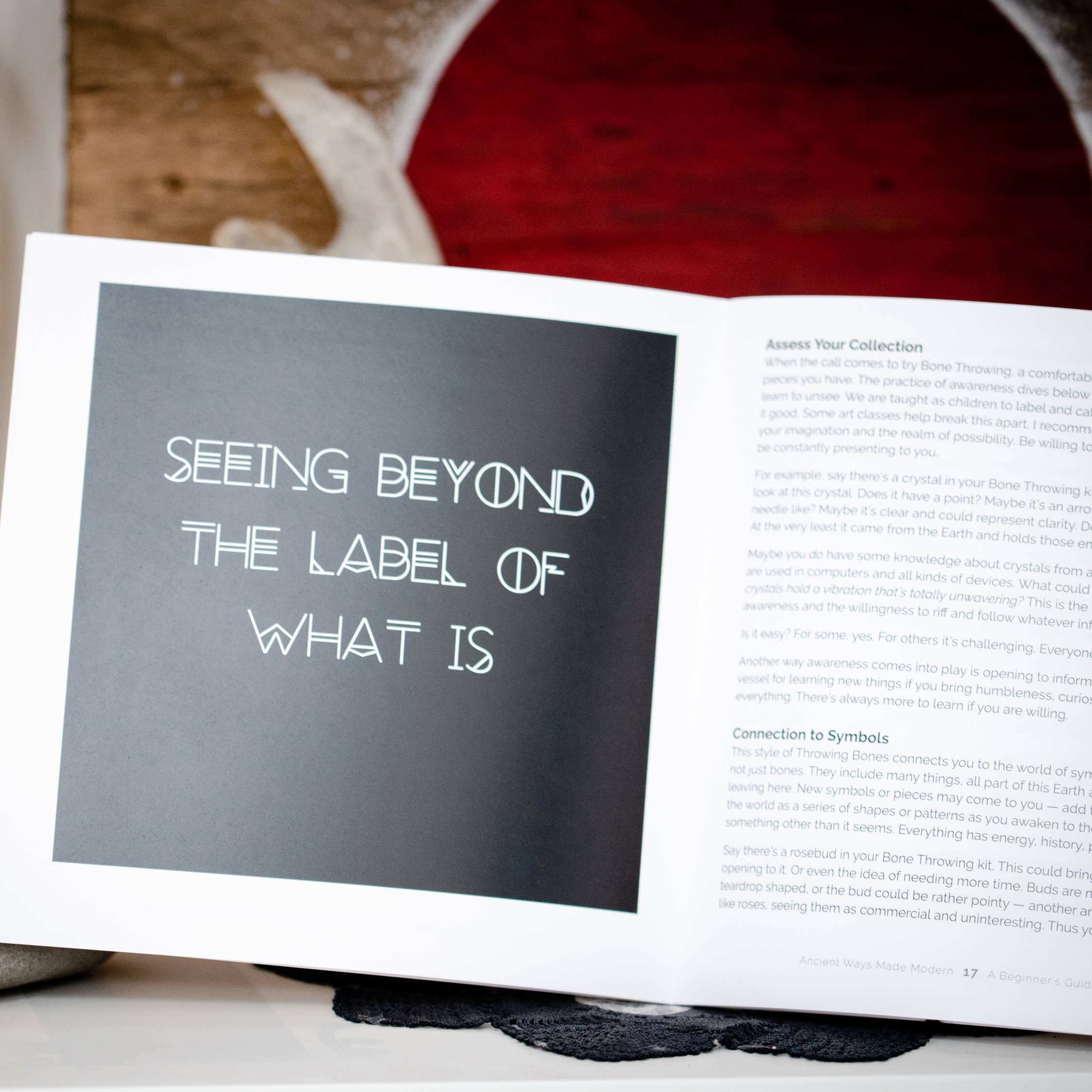 Taming the Tangle - Wholesale Body, Mind & Spirit - A Beginner's Guide to Bone Throwing, divination guide book4