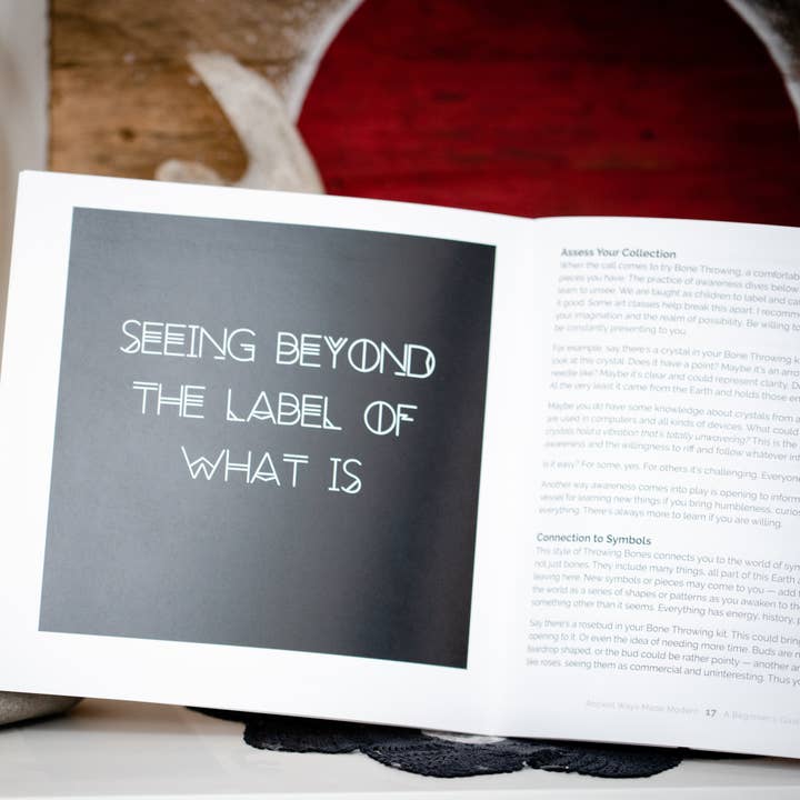 Taming the Tangle - Wholesale Body, Mind & Spirit - A Beginner's Guide to Bone Throwing, divination guide book4