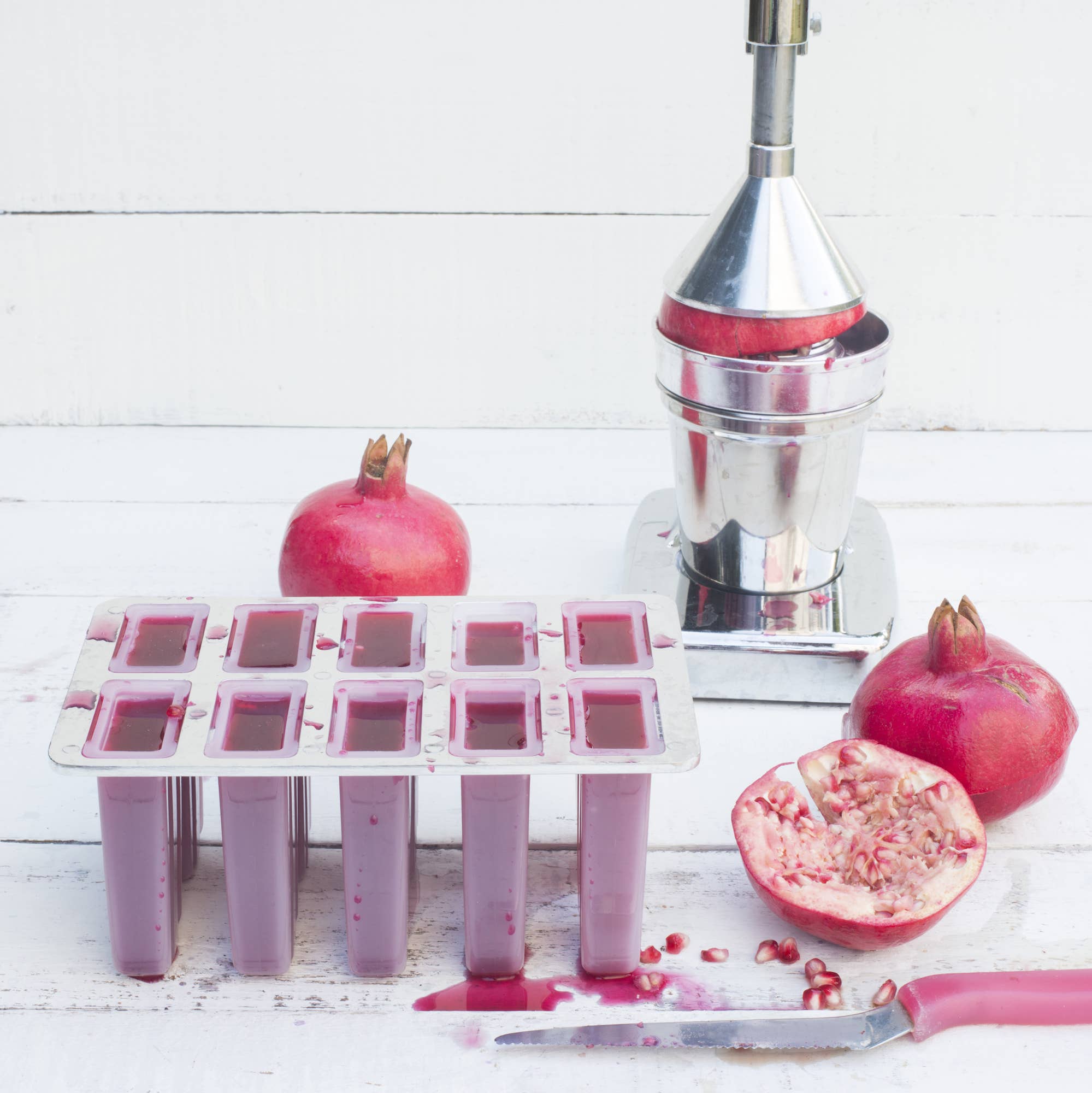 Fox Run Brands - Wholesale Ice Tray/Mold - Fox Run Frozen Ice Pop Maker Mold, 5.75" x 9" x 4"2