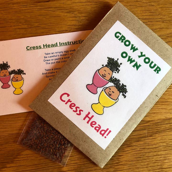 Underglass Terrariums β wholesale Gag gift/novelty gift β Cress Head Kit for Kids - Grow Your Own Cress Head! 2