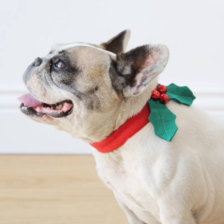 Talking Tables USA - Wholesale Pet Collar - Dog - Botanical Christmas Hound Holly Dress Up5