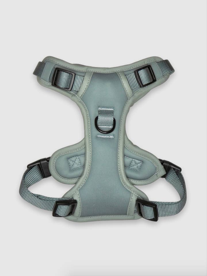 Sage Dog Harness for wholesale by Gaïa & Cie