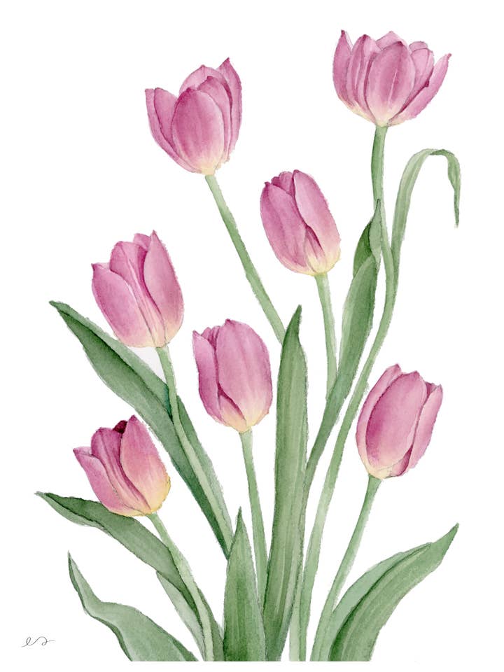 Stampa di Mazzo di Tulipani – Arte Murale Botanica ad Acquerello per la vendita all'ingrosso da parte di Art by Emma Lian