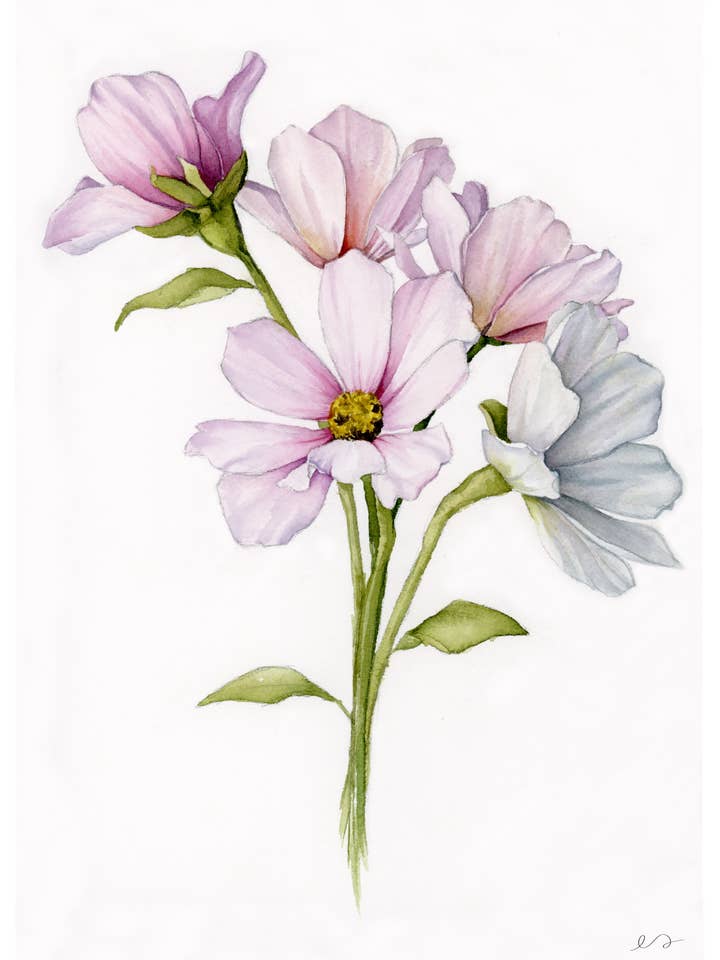 Cosmos Boeket Print – Zachte Aquarel Bloemenkunst voor wholesale door Art by Emma Lian