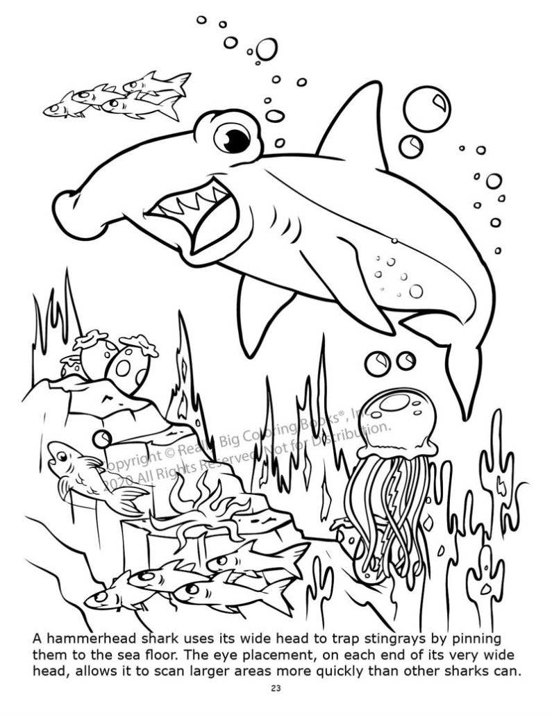 Really Big Coloring Books | ColoringBook.com - Wholesale Coloring & Activity Book - Kids & Baby - 12-Pack Underwater Adventures Coloring Books 8.5"x11"1