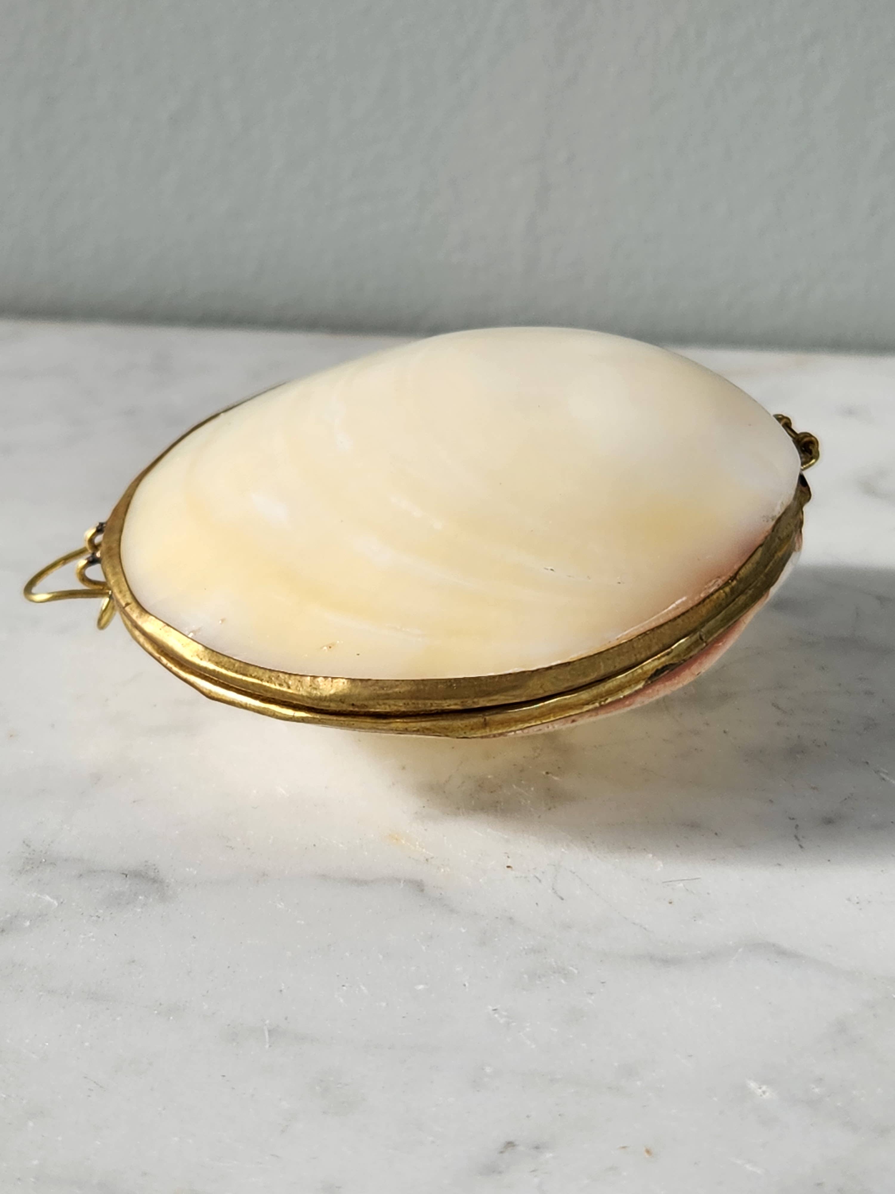 White Tulip Boutique - Wholesale Decorative Box - Mini Clam Trinket Pill Box, Coin Purse1
