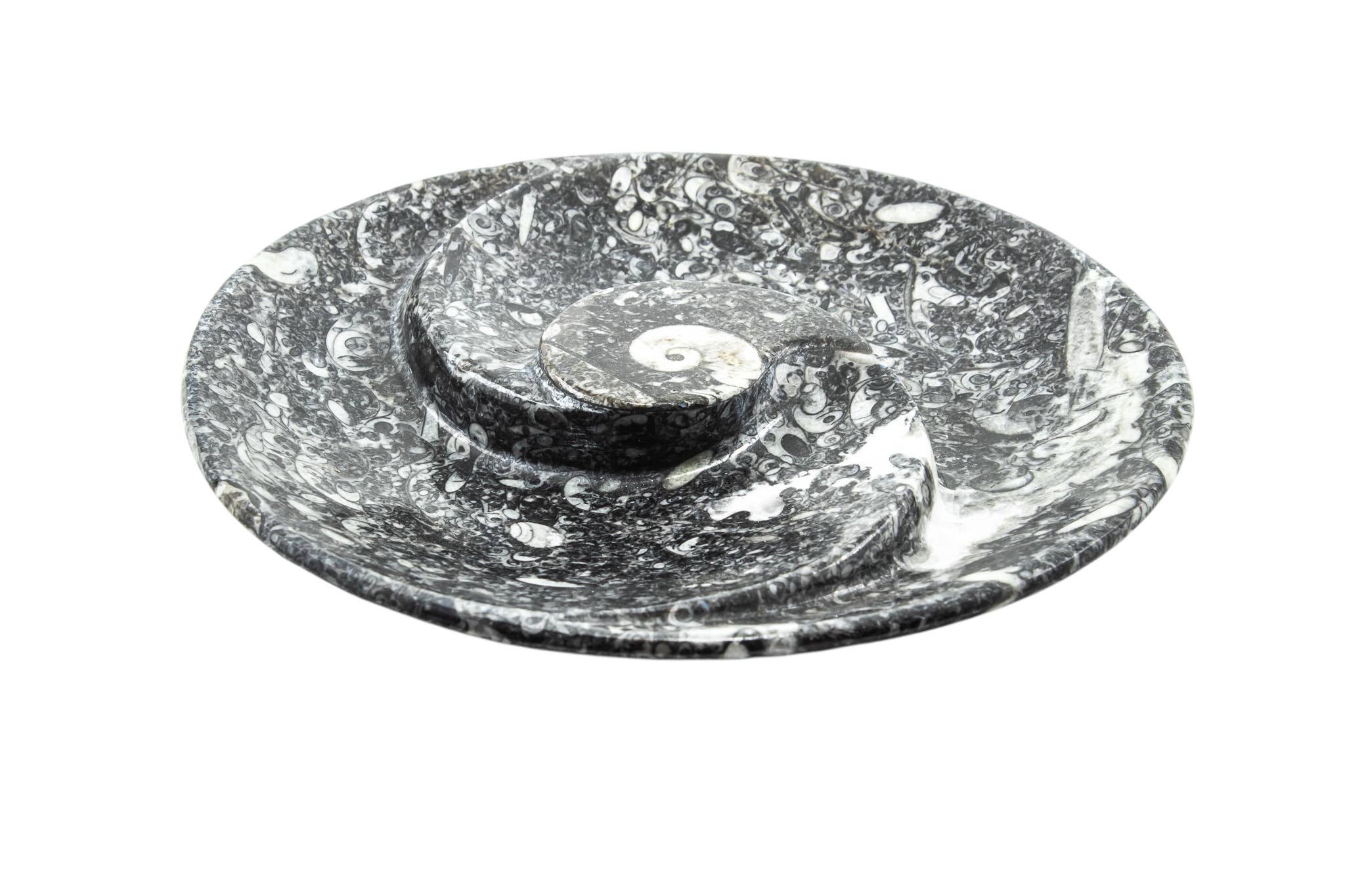 Quasar Gems USA - Wholesale Sculpture - Ammonite Fossil Plate Round Spiral 18cm3