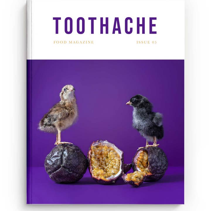 TOOTHACHE MAGAZINE - Wholesale Baking & Dessert Book - Toothache Issue 05