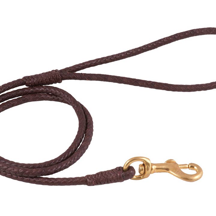 Alvalley - Wholesale Pet Leash - Dog - Braided Leather Snap Leads20