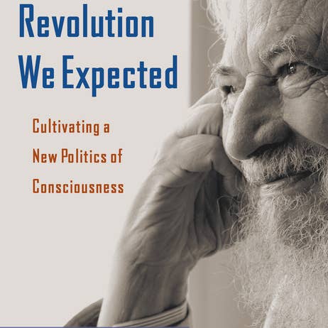 Revolutionen vi förväntade oss: Odla ny politik för wholesale av Bradley's Book Clearance