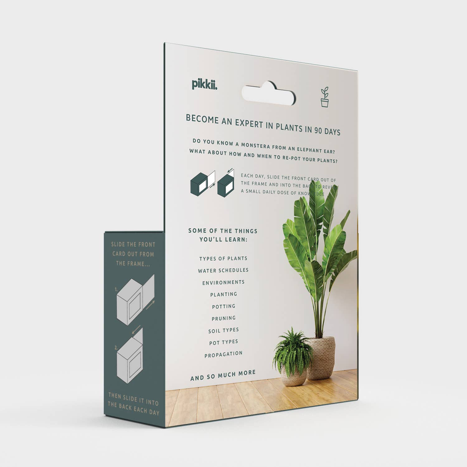 Pikkii – wholesale Plant seeds – Become an Expert in Plants in 90 Days Slide Box | Plant Gift12