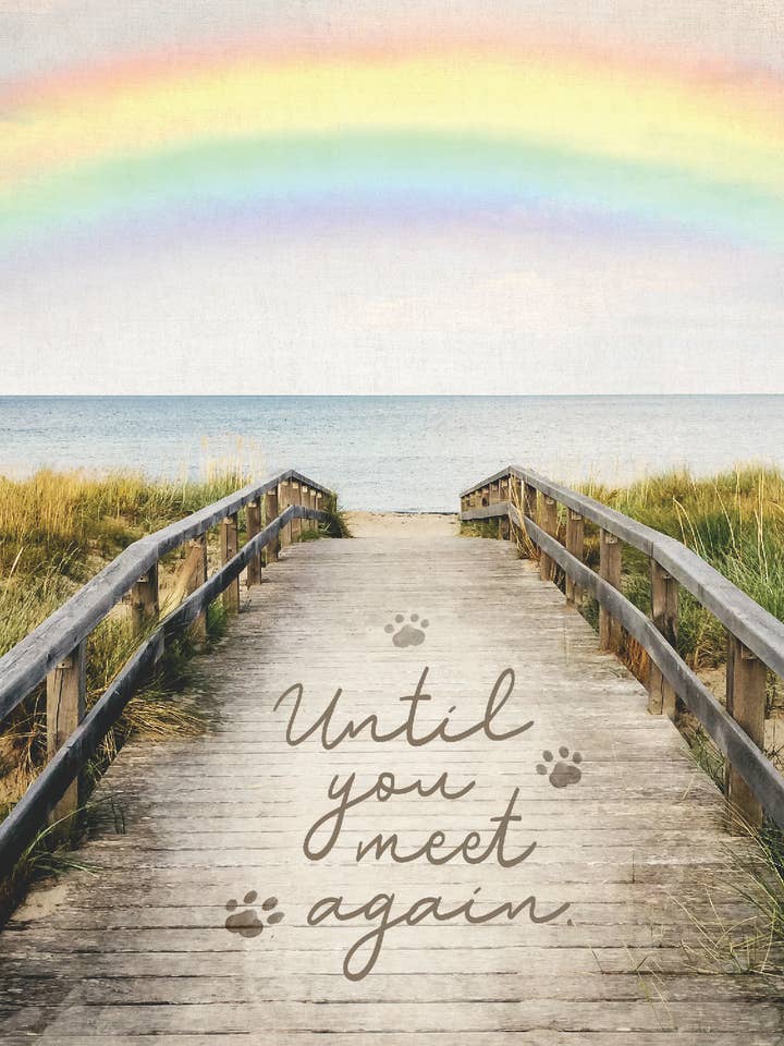 PSY/Rainbow Bridge for wholesale by Greeting Cards by Norcard