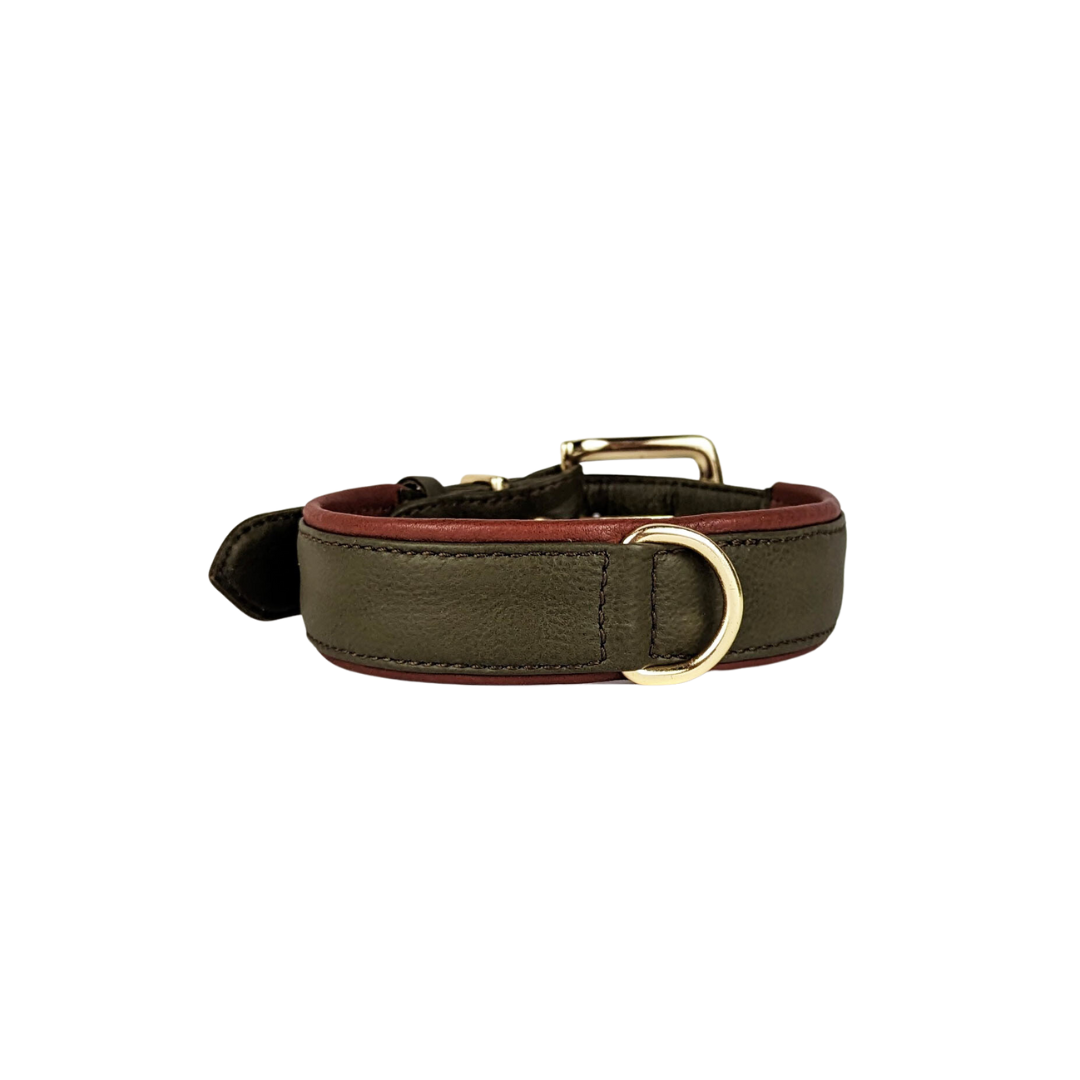 Le Dog Company - Wholesale Pet Collar - Dog - Padded Leather Collar2
