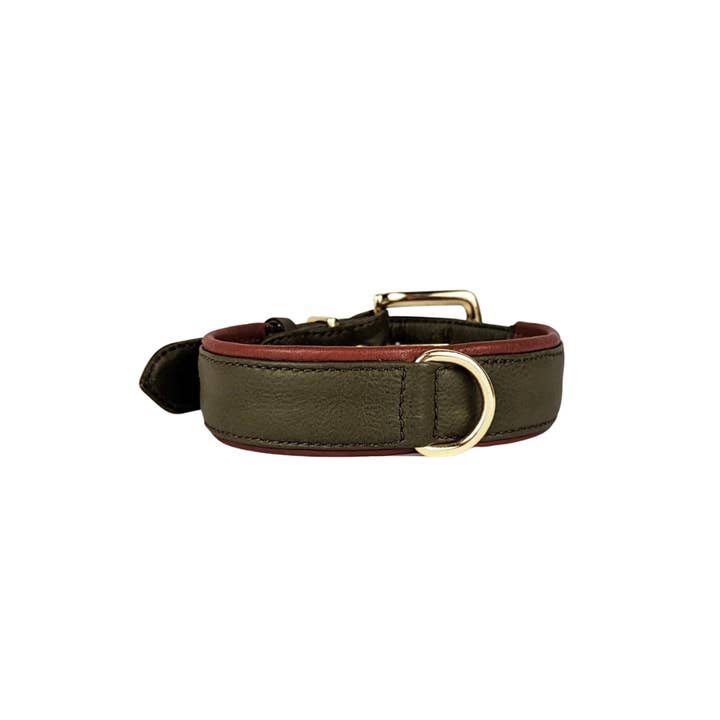 Le Dog Company - Wholesale Pet Collar - Dog - Padded Leather Collar2
