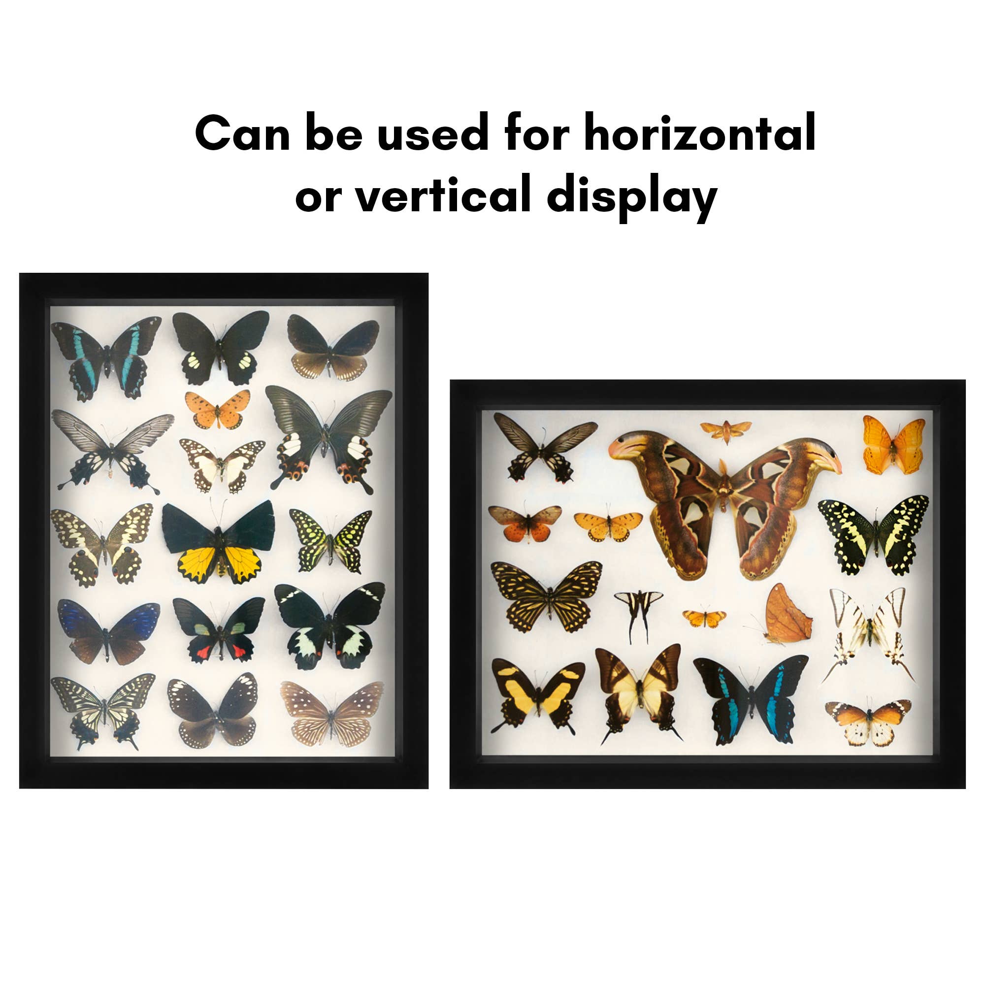 Americanflat - Wholesale Picture Frame - Americanflat Shadow Box Frame with Soft Felt Back13