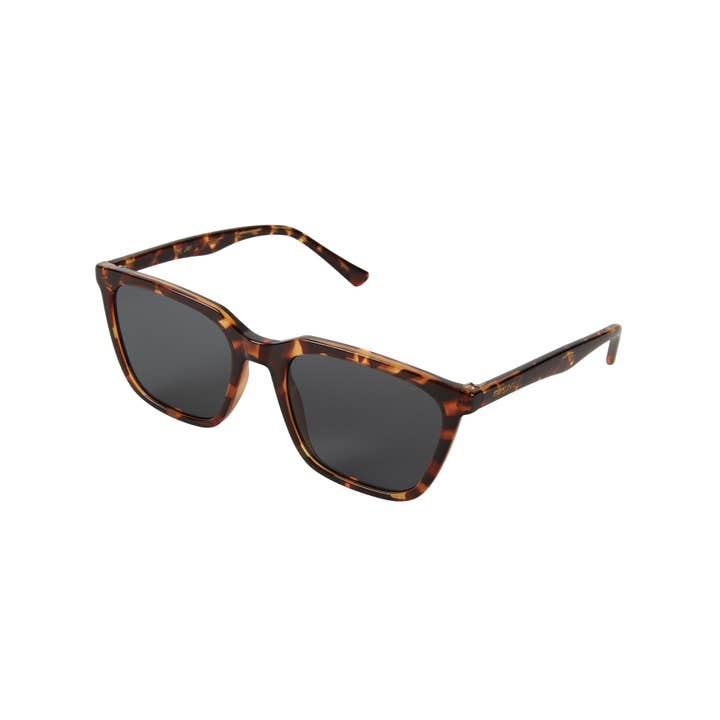 KOMONO Sunglasses for Men & Woman - Jay Havana for wholesale by Komono