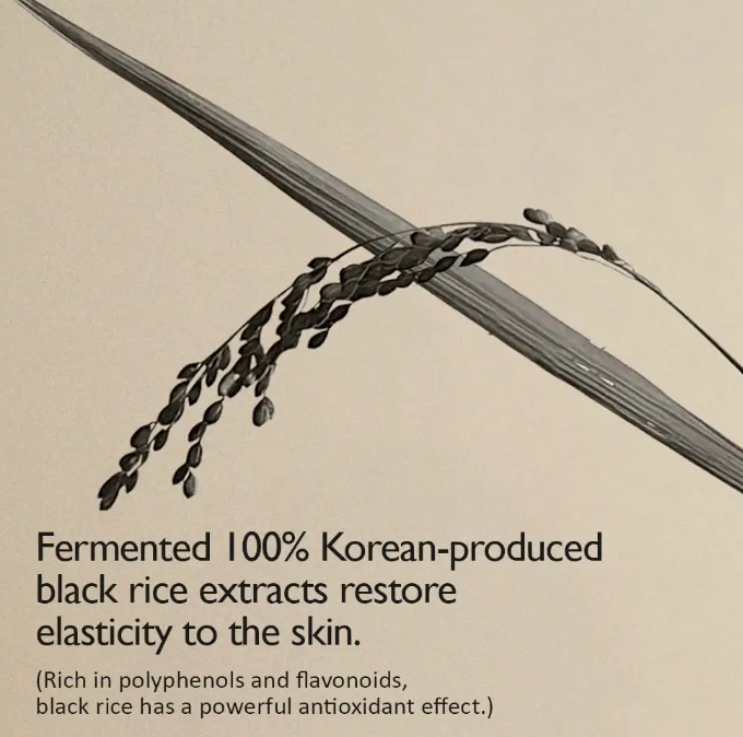 Best Beauty Group - Wholesale Facial Toner - HARUHARU WONDER Black Rice Hyaluronic Toner Vegan Original7