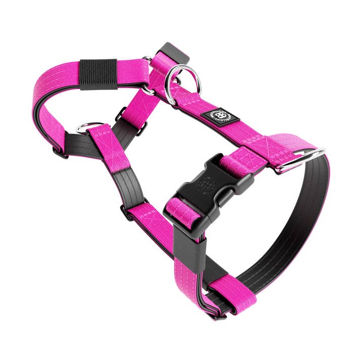 Training No Pull TRI-Harness® | Small Breeds - Magenta for wholesale by BullyBillows Ltd