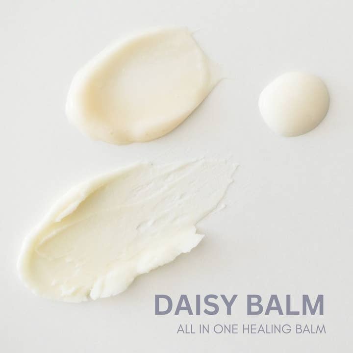 Forager - Wholesale Healing Salve/Balm/Cream - Daisy Balm2