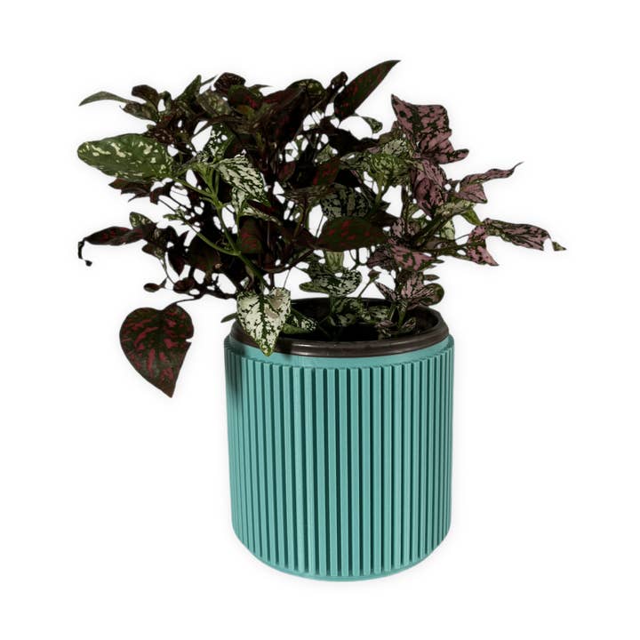 The Willow – 4 Inch Cover Pot (No Drainage) for wholesale by Leafprints.3d