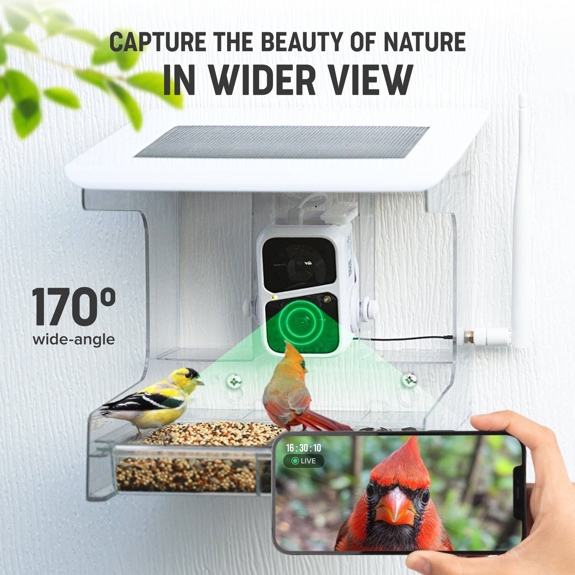 Nature Anywhere - Wholesale Bird Feeder - Nest-Flix Smart Bird Feeder with Camera3
