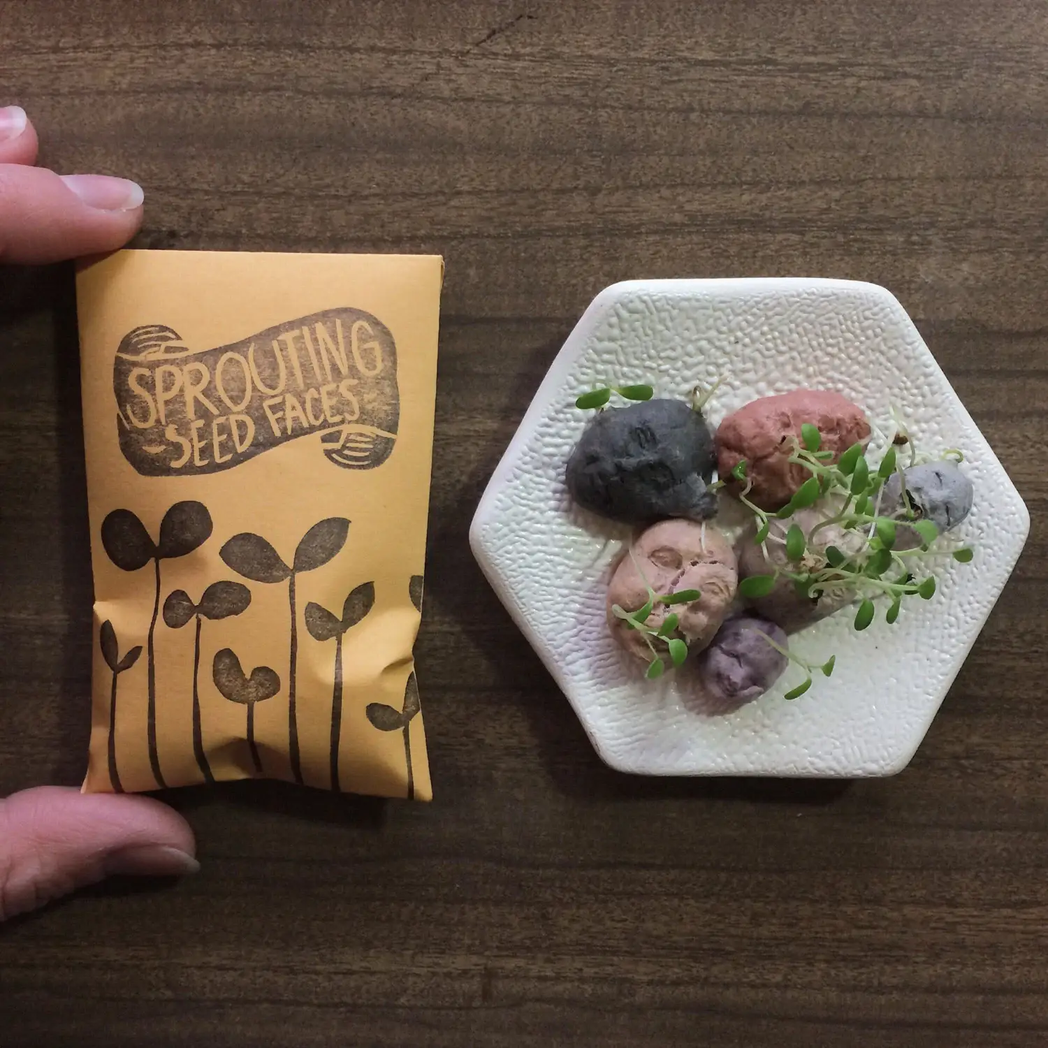 Sustainable Paper+Craft - Venta al por mayor Semillas de plantas - 5 caras germinantes de semillas1