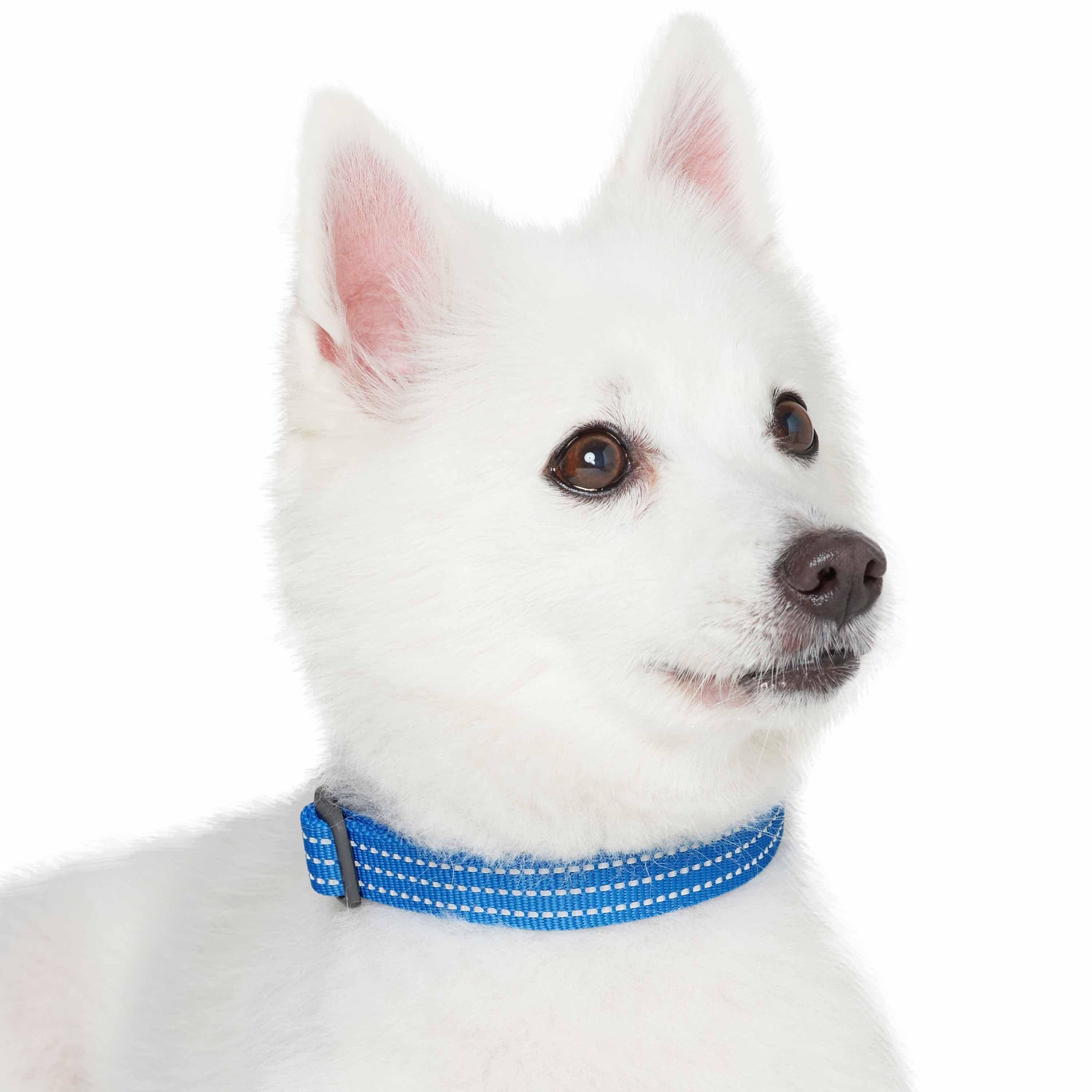 Blueberry Pet - Venta al por mayor Collar - Perros - Collar reflectante para perros Better Basic en 8 colores37