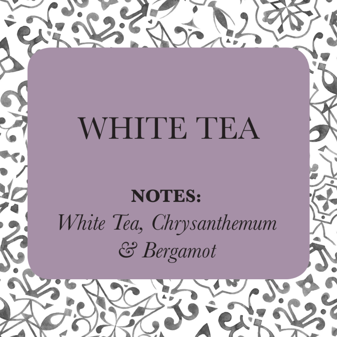 TLC Candle Co. - Wholesale Jar/Filled Candle - White Tea - White Tea Candle6