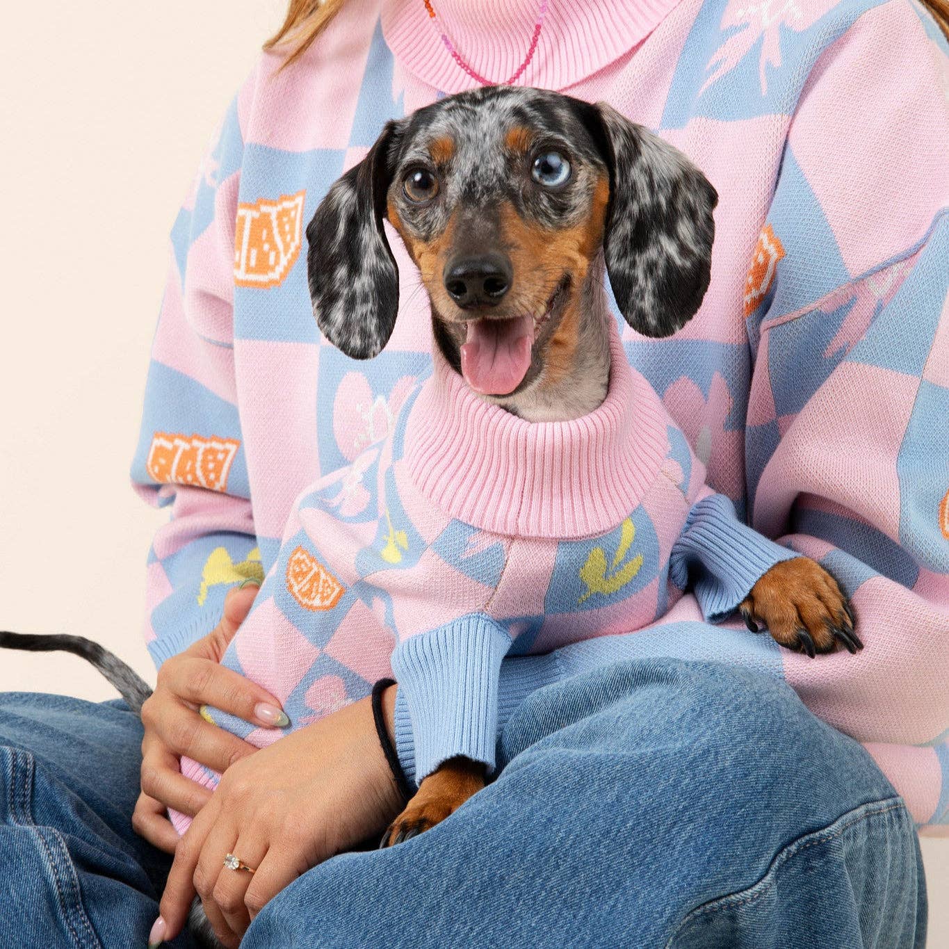 Sunbean - Wholesale Pet Sweater - Dog - Shelly Roll Neck Knitted Dog Sweater3