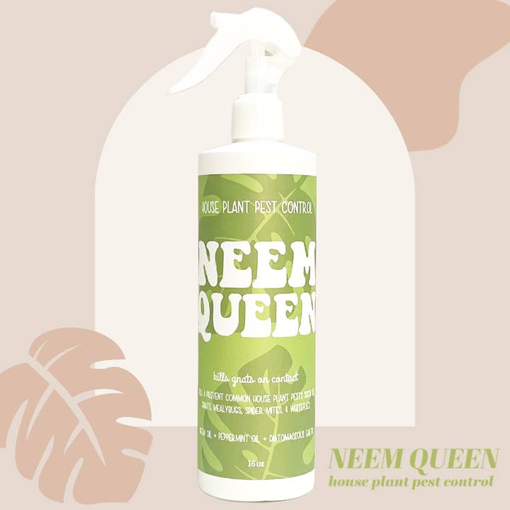 The Lush Studio – Großhandel Dünger – Neem Queen - Schädlingsbekämpfung für Zimmerpflanzen (GROSSPACKUNG)