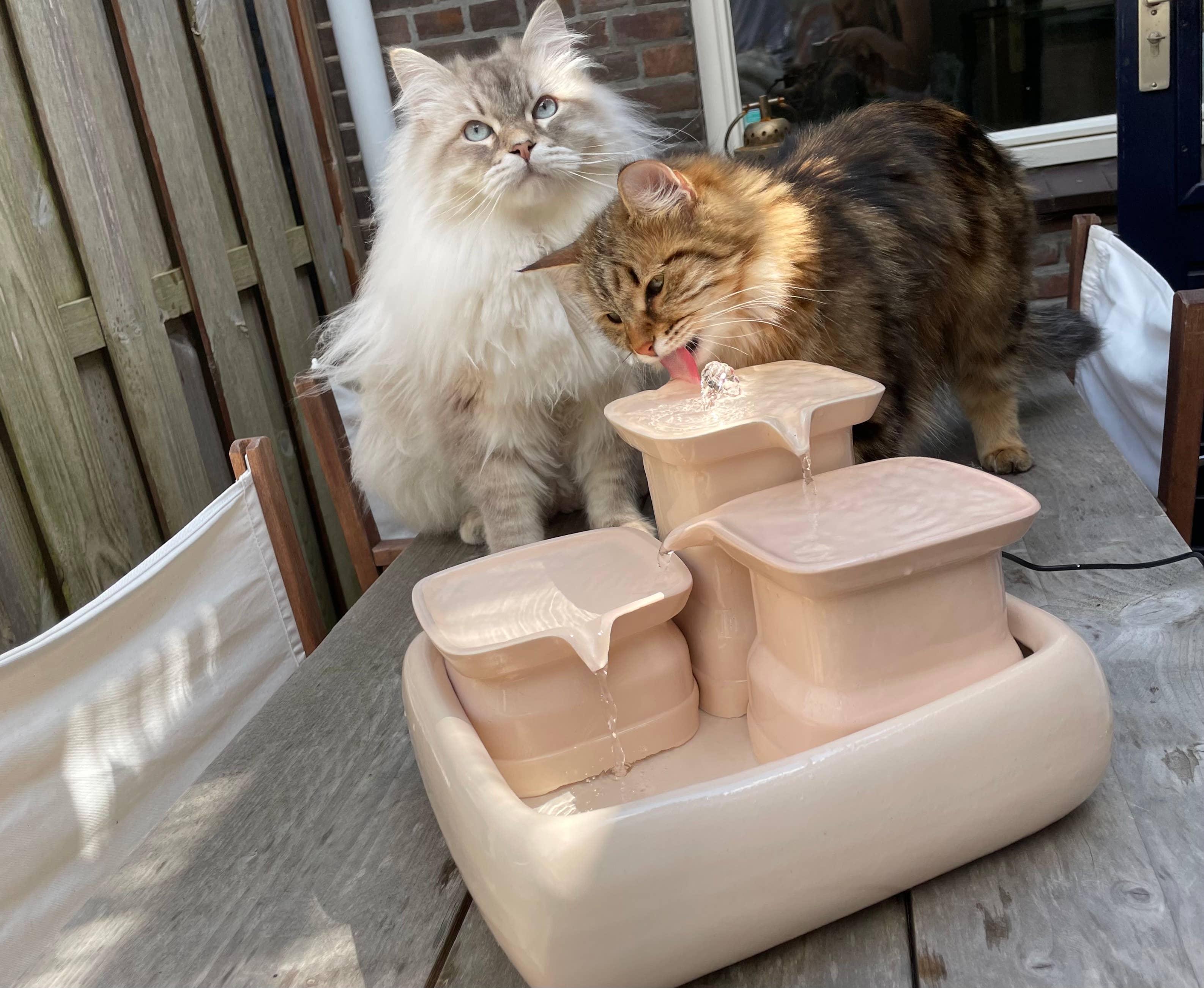 Miaustore – wholesale Pet bowl – Cat/dog – Cat fountain ceramic standard28