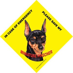 En cas d'urgence, veuillez enregistrer mes pancartes miniatures Pinscher/Save My Pet avec ventouse pour la vente par SJT Enterprises, Inc.