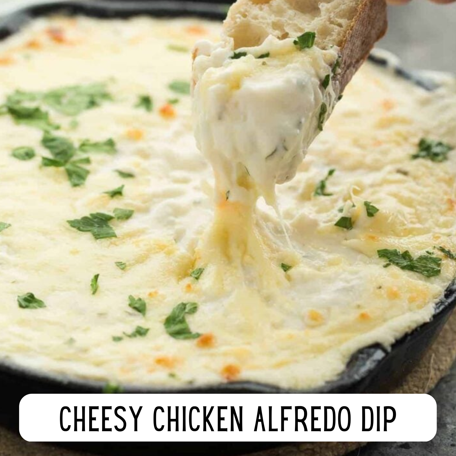 Alaska Seasoning Company - Vendita all'ingrosso Mix di spezie secche - Salsa Alfredo in polvere5