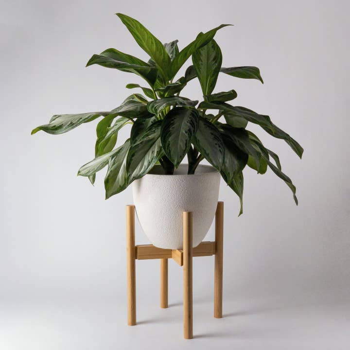Kanso Designs - Wholesale Plant Pot Stand - Adjustable Bamboo Plant Stand4