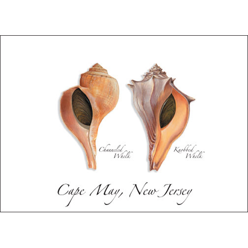 Earth Sky + Water - Wholesale Everyday Greeting Card - Whelks0