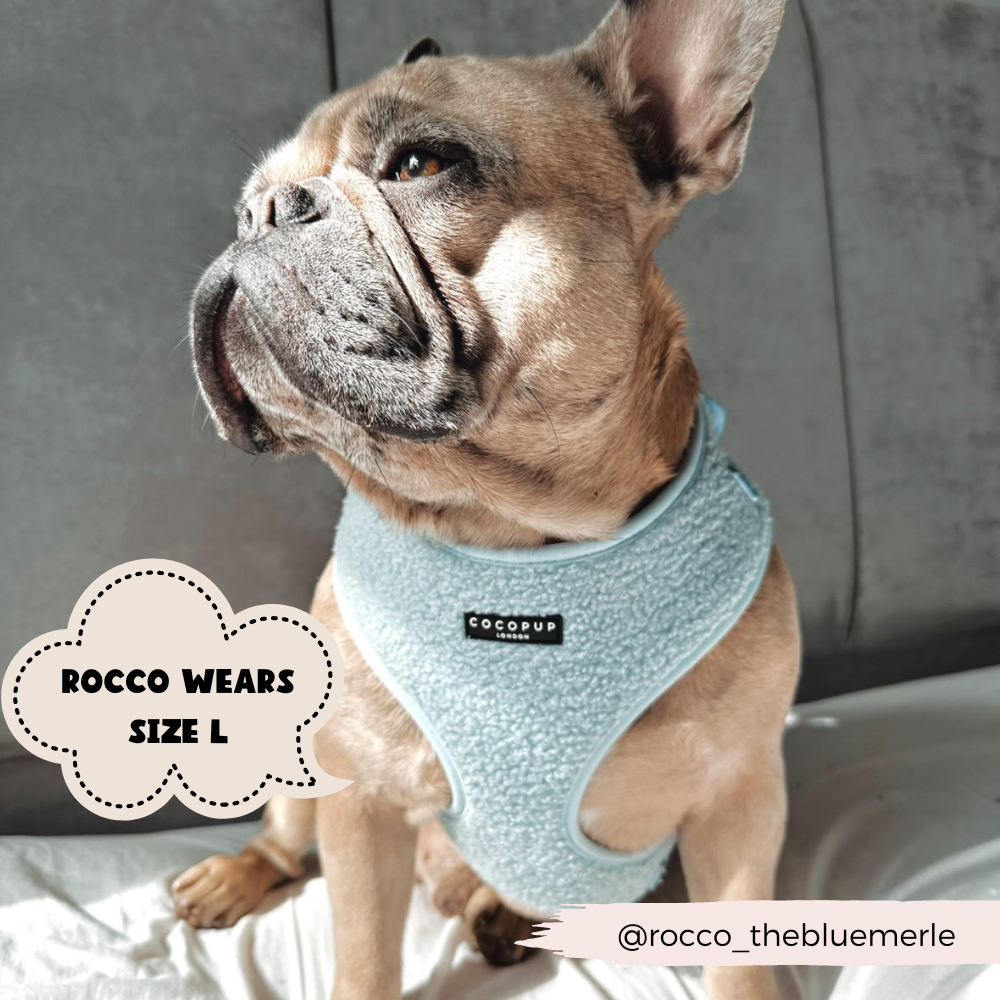 Cocopup London – wholesale Pet harness – Dog – Teddy Daydream Adjustable Neck Harness5