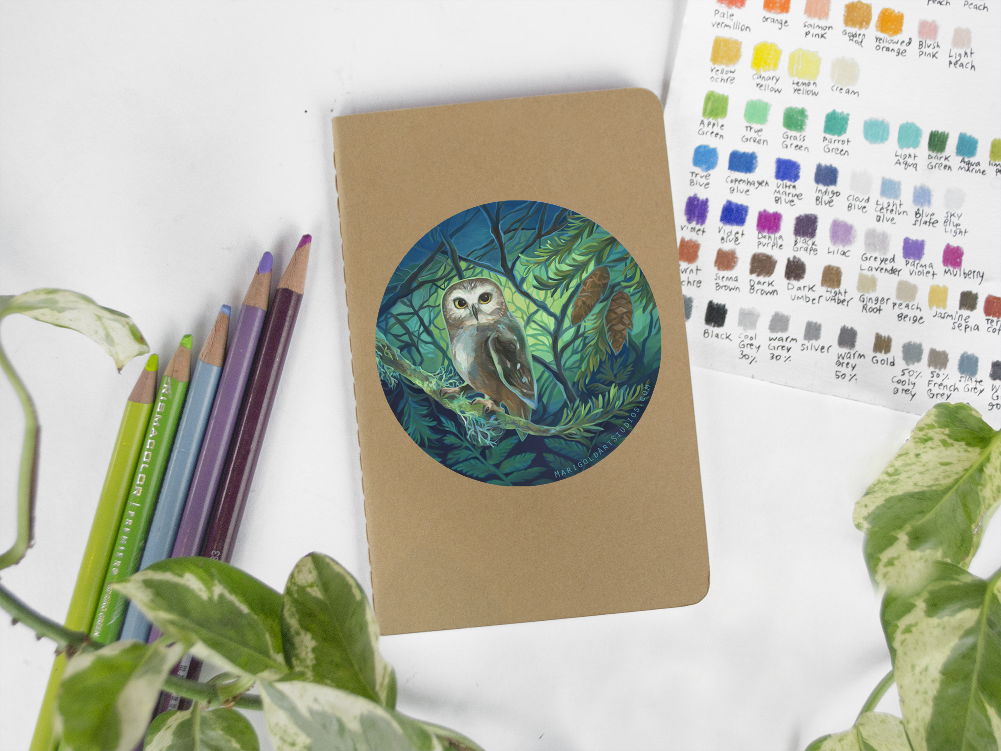 Marigold Art Studios - Wholesale Sticker - Northern Saw Whet Owl Sticker1