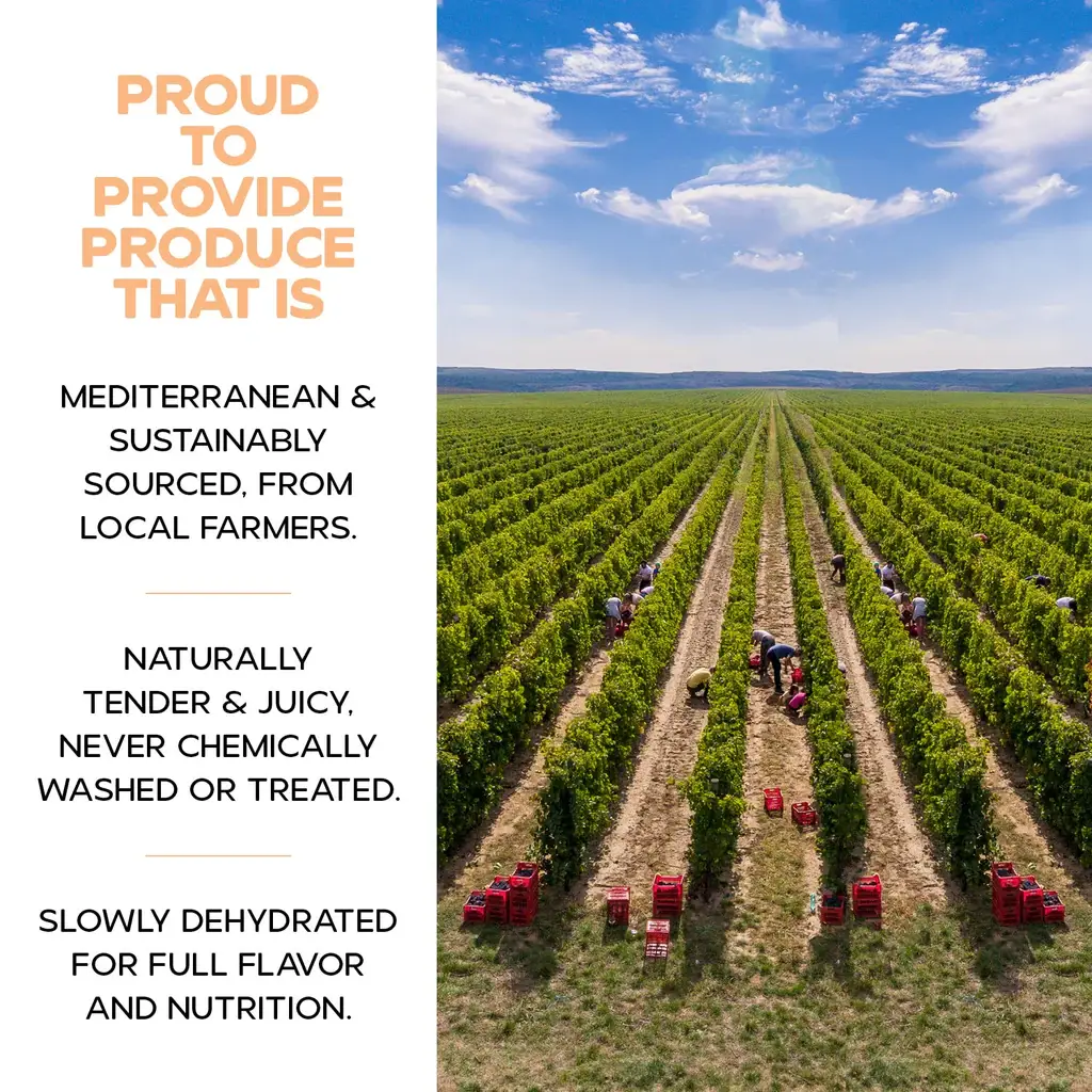 Biggbrands GmbH - Wholesale Fruit Snacks - Drybox Sweet apricot kernel - doypack (456gr) 16OZ6