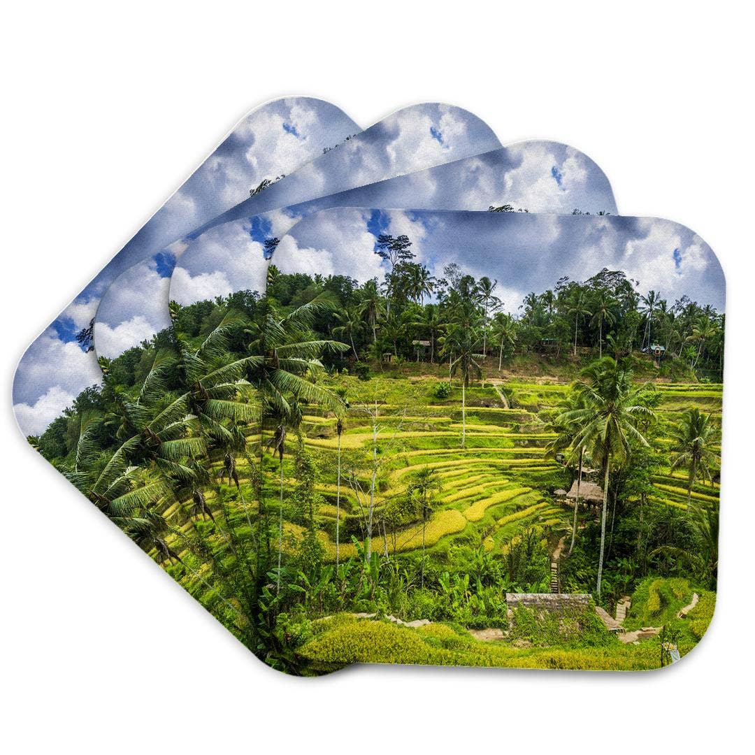 3dRose - Wholesale Coasters - 3dRose, Rice fields at Tegallalang Rice Terrace, Bali, Indonesia, Coaster7