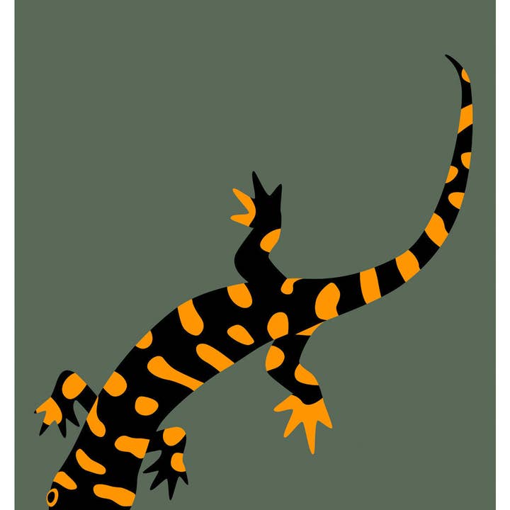 Print Collection – Impressão artística por atacado – Salamandra tigre oriental de Illinois
