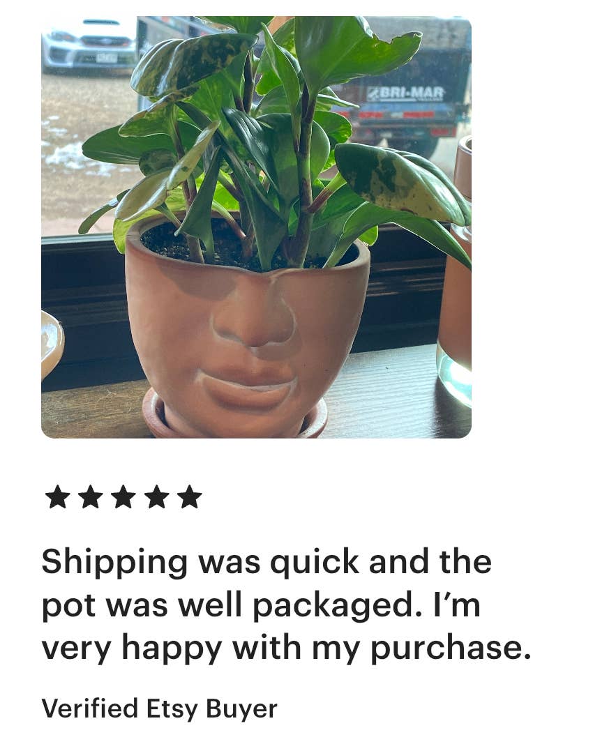 Simply Supplied Co - Wholesale Plant Pot - Face Planter | Terracotta Pot | Unique Planter | Head Pot2