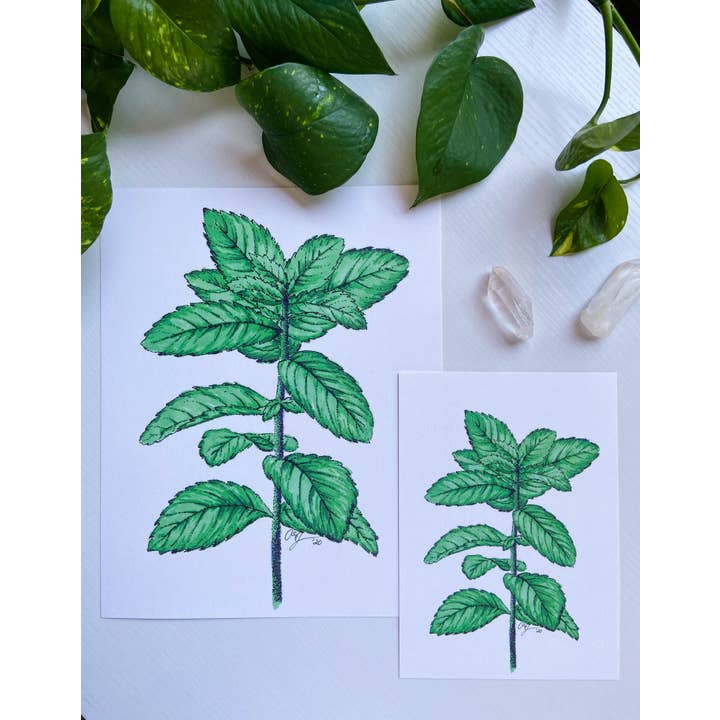 Impressão de arte botânica de arquivo - Mint Herb por atacado de AEJ.CREATE