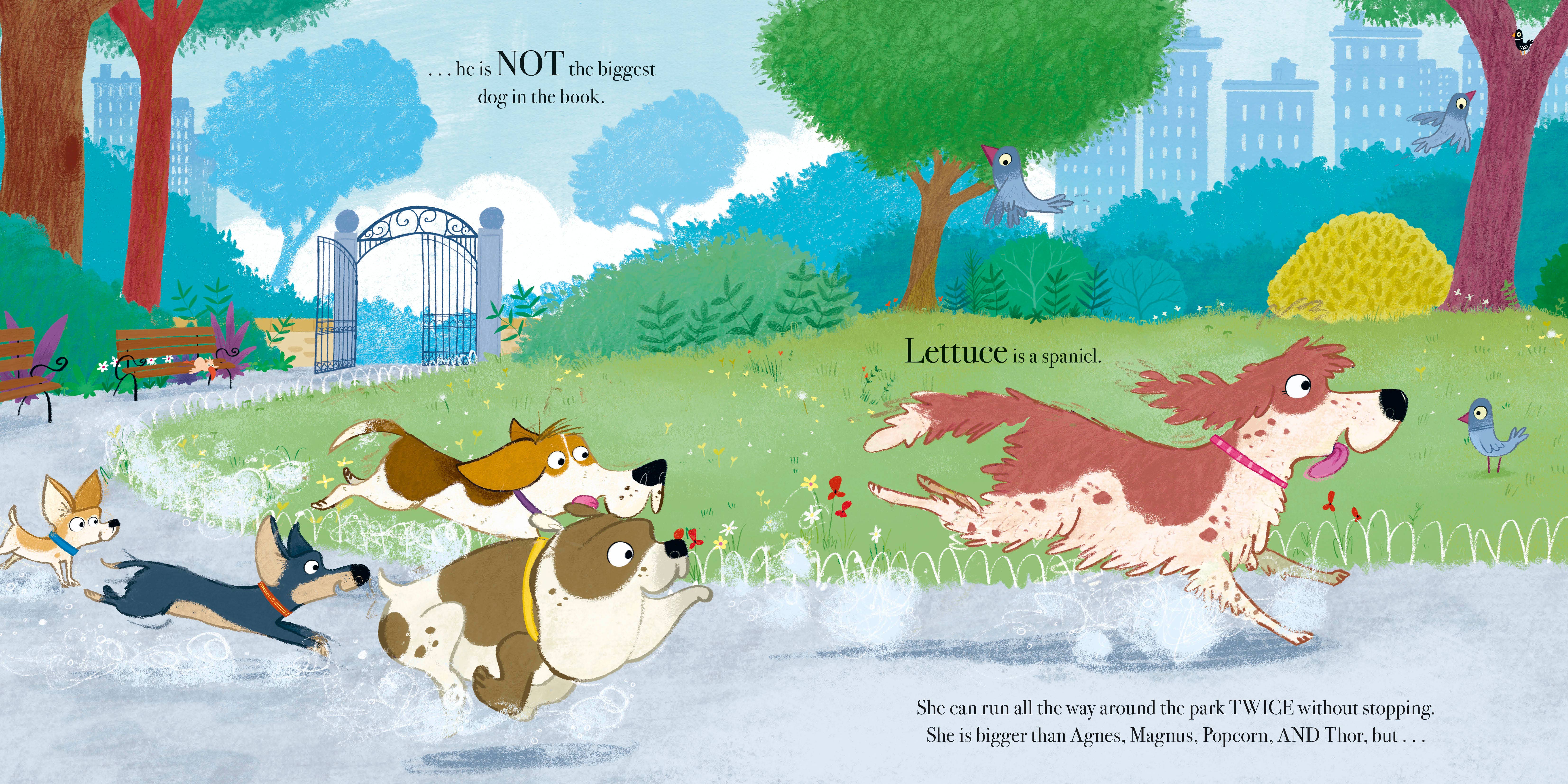 Penguin Random House LLC - Wholesale Preschool Book (3-5) - Biggest Dog In Book3