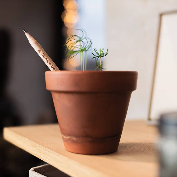 SproutWorld - Wholesale Pencil - SproutWorld Plantable Pencils | X-mas · 5 pack1
