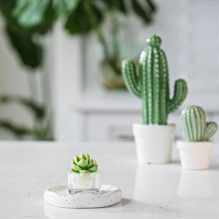 ZOETSTUDIO - Wholesale Tea Light Candles - Succulent Tealight Candles | Soy Blend Tealight Candle